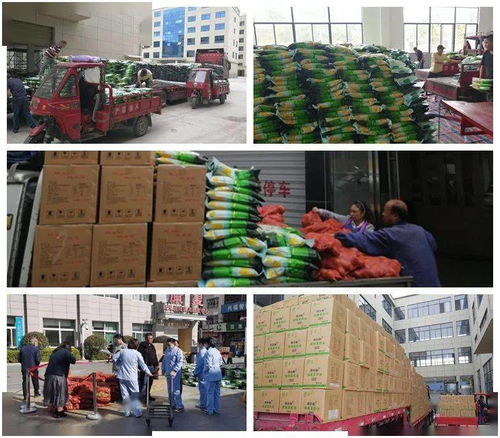 慶元9天高效派送253噸農產品，東西部消費扶貧任務圓滿完成